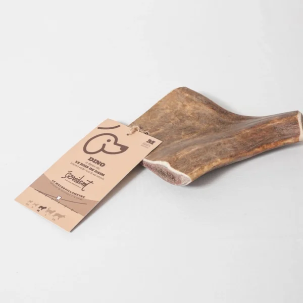 Bois de daim – Image 3