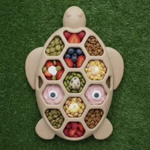 Tortue à lécher et mastiquer