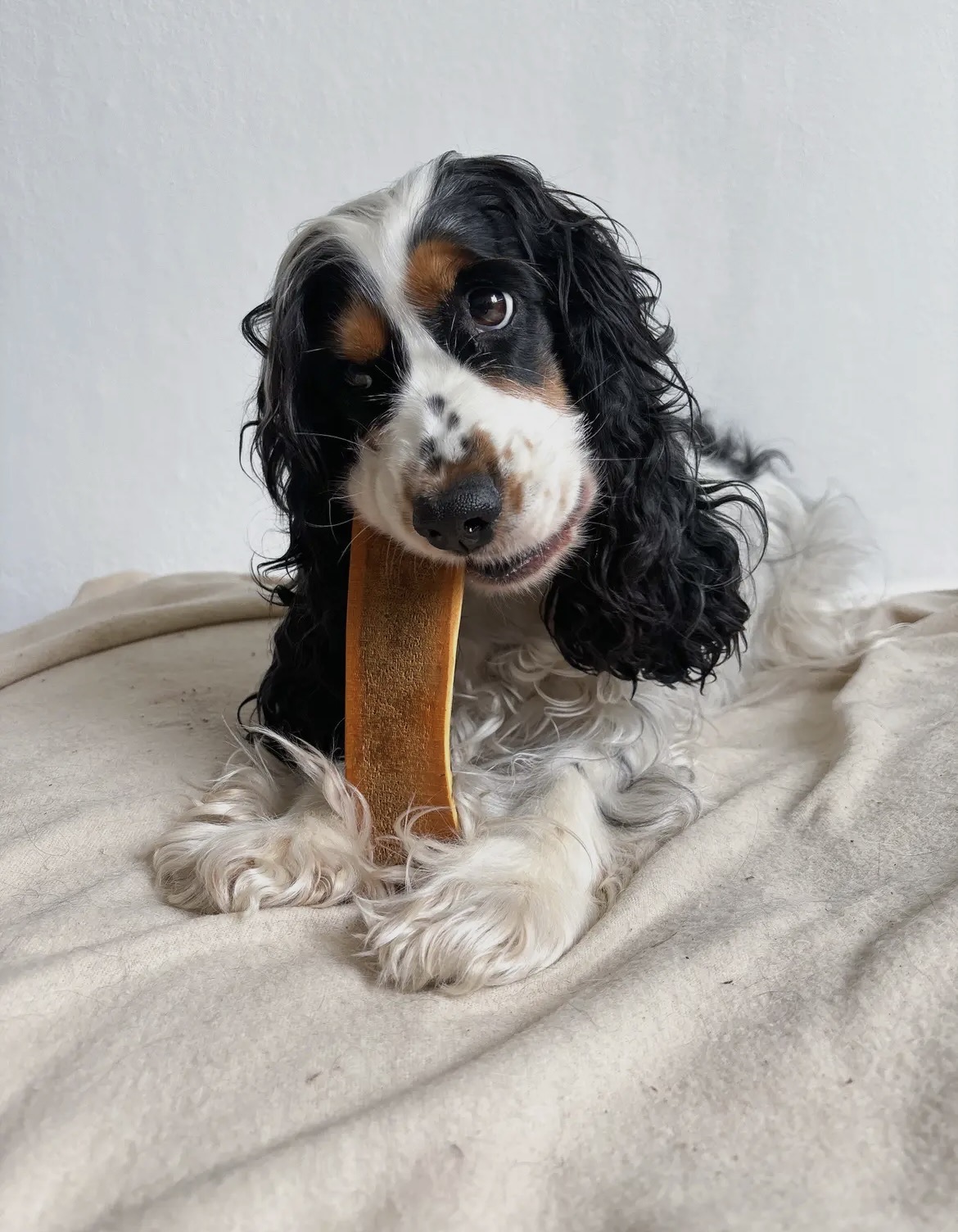 Bois de cerf tranché fumé – Image 2