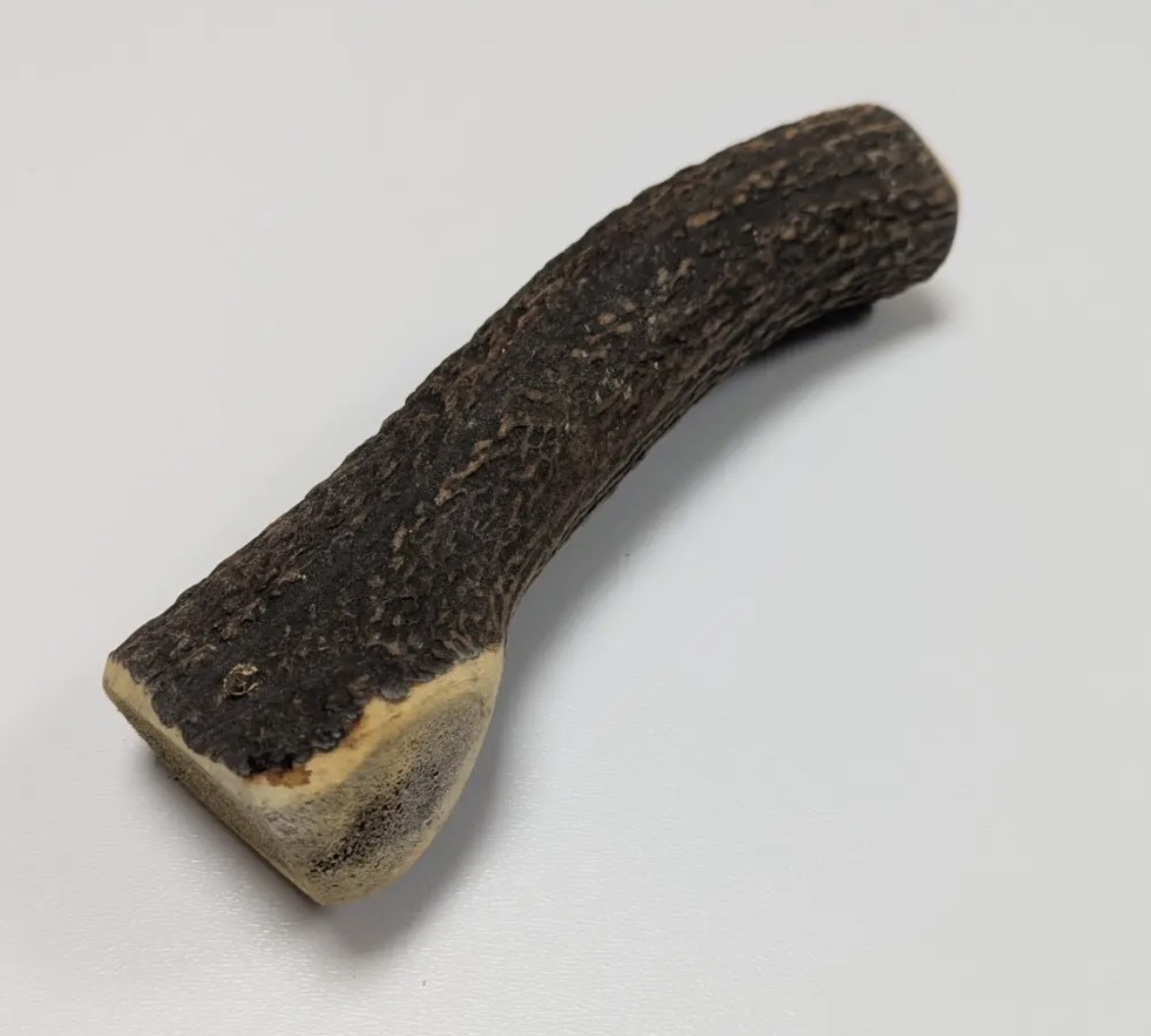 Bois de cerf entier fumé – Image 5