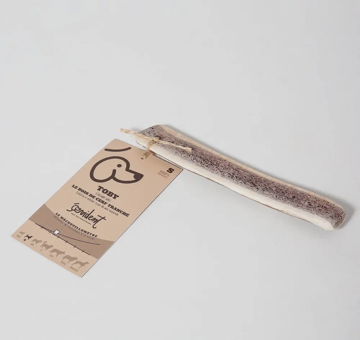 Bois de cerf tranché – Image 3