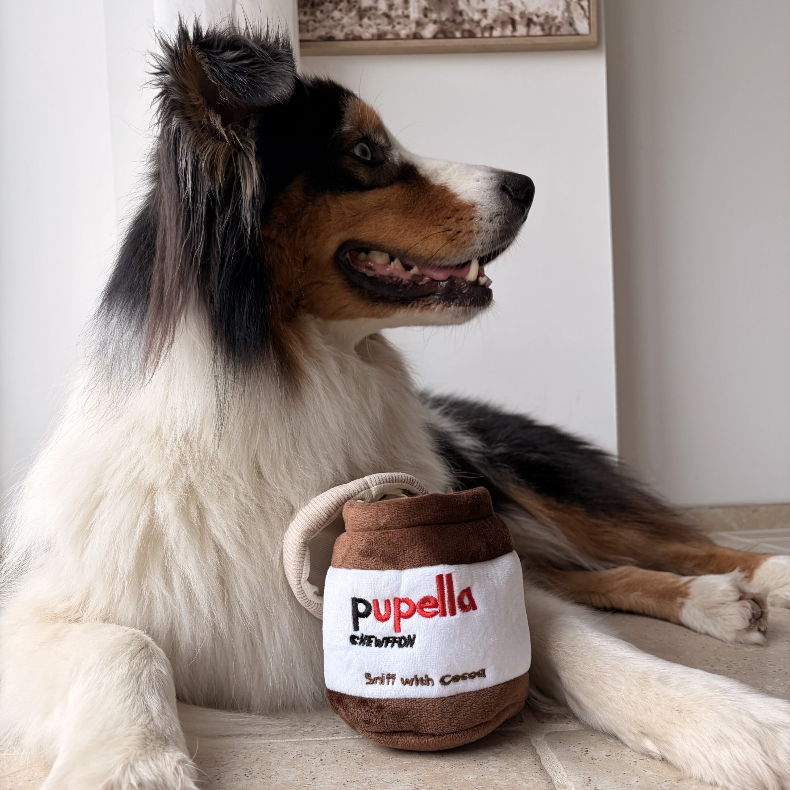 jeu de fouille Nutella