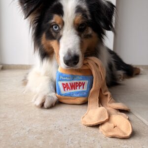 Jeu de fouille beurre de cacahouète