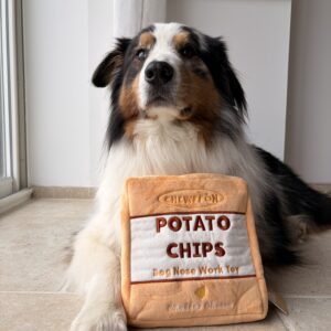 Jeu de fouille chips