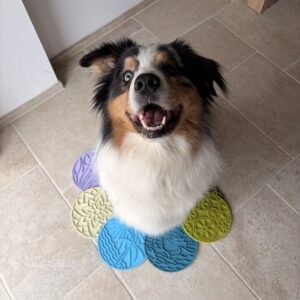 tapis de léchage
