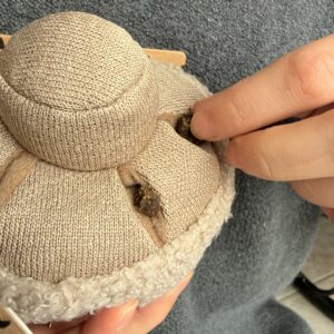 jeu de fouille champignon