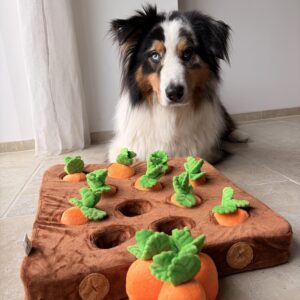 jeu de fouille carotte