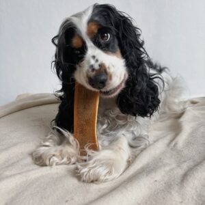 bois de cerf tranché fumé pour chien