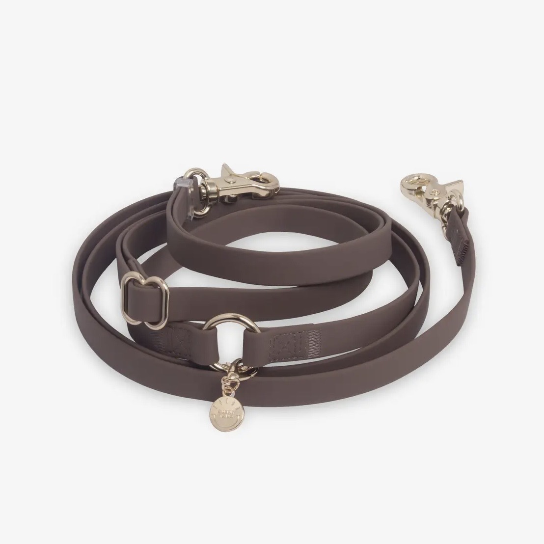 laisse 4 en 1 pour chien