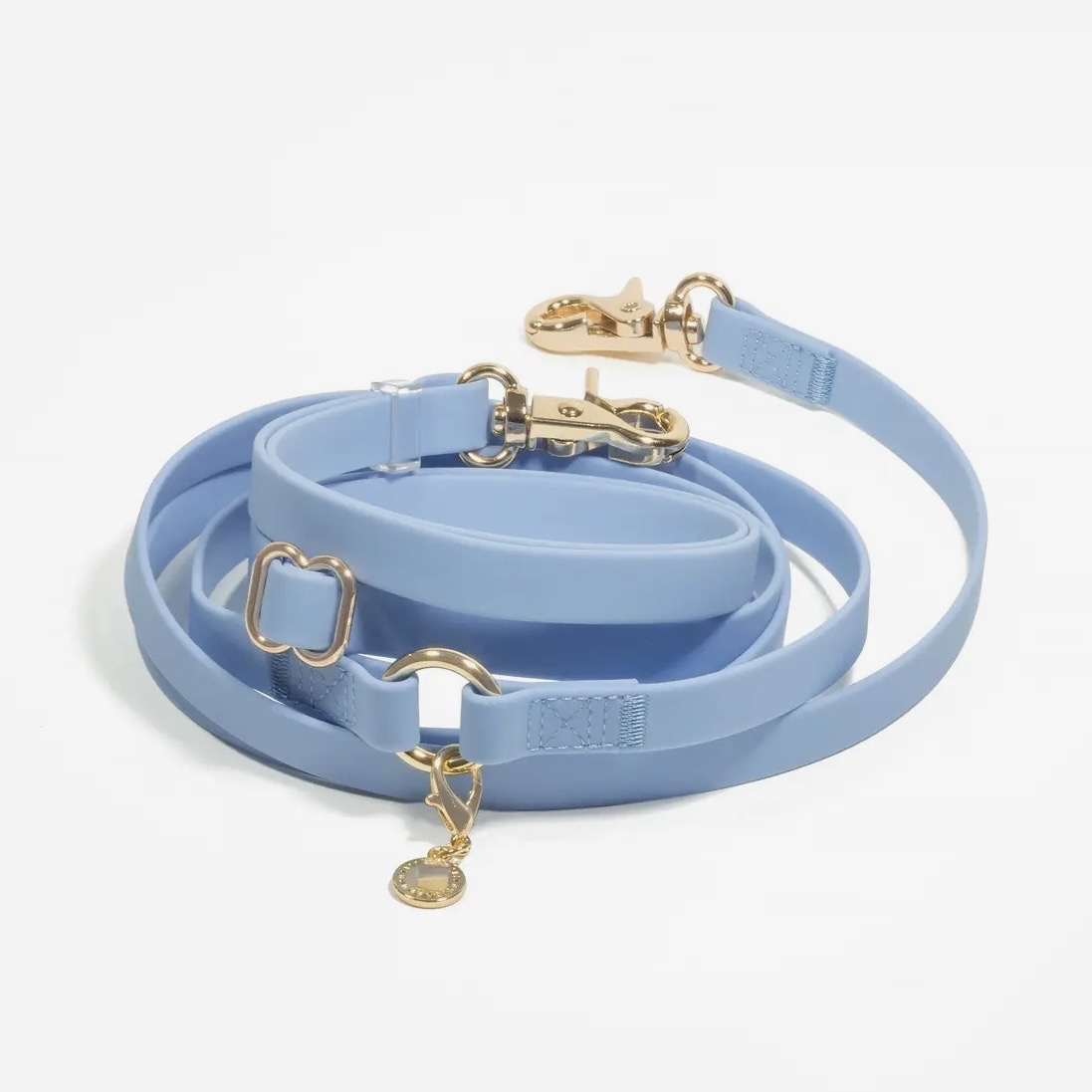 laisse 4 en 1 pour chien