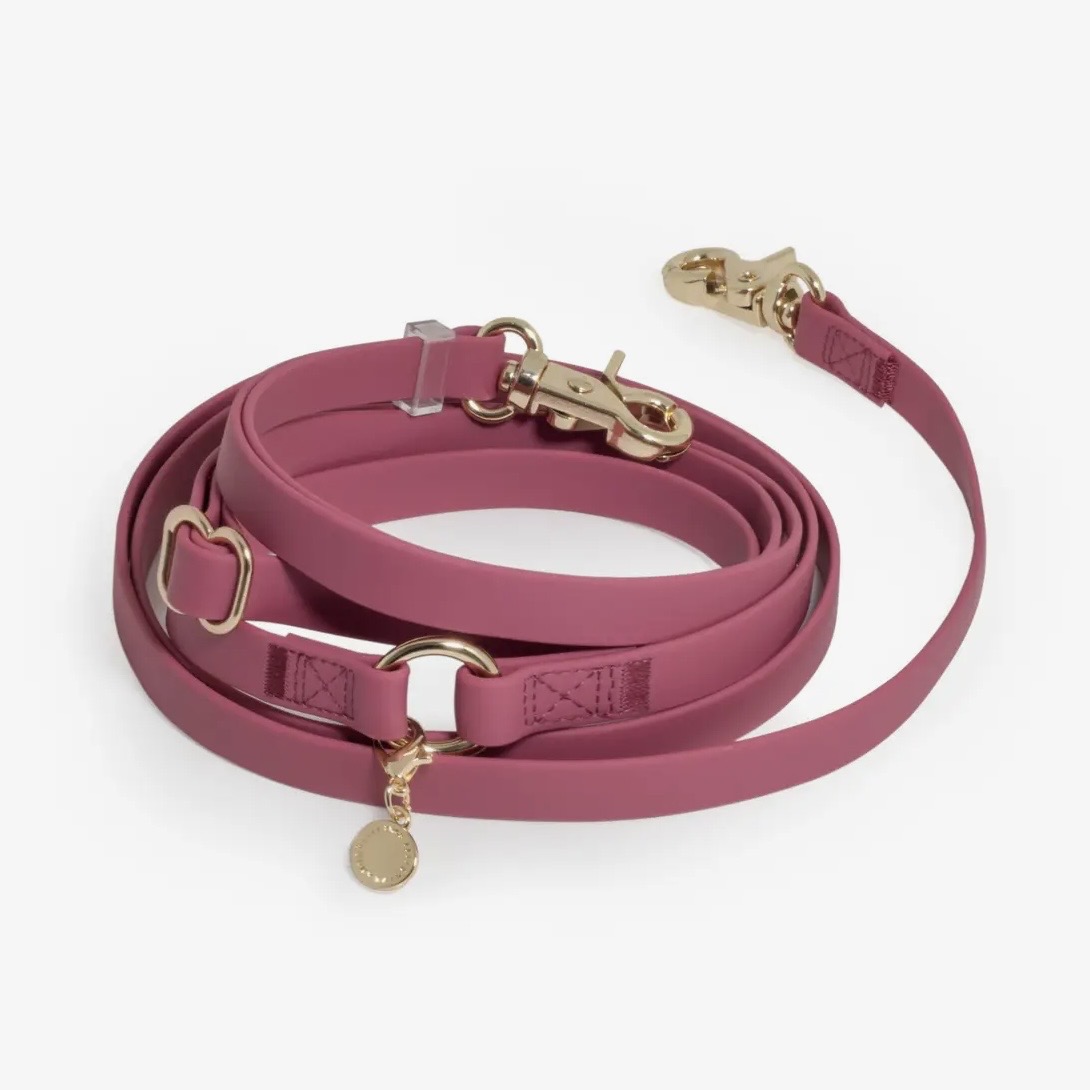 laisse 4 en 1 pour chien