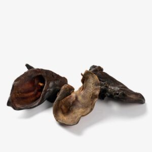 Oreille de sanglier séchée pour chien
