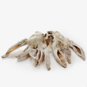 Oreilles de lapin avec fourrure de qualité premium